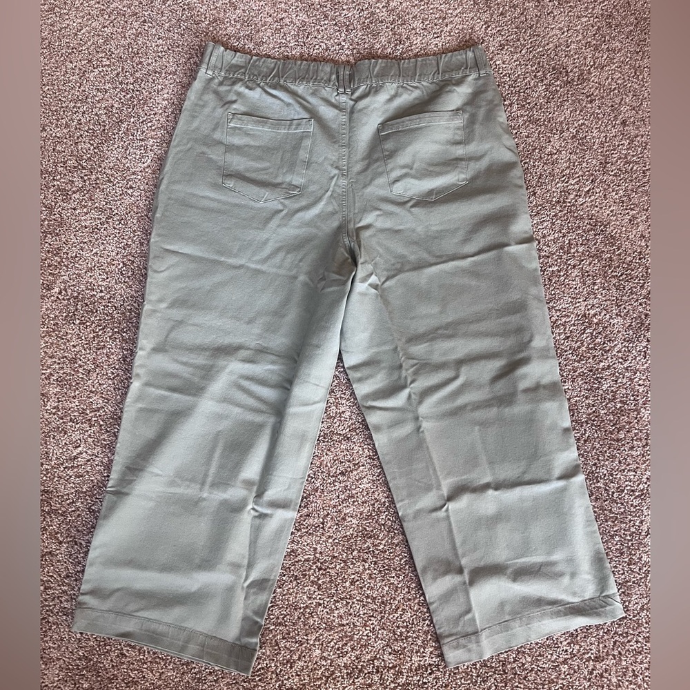 NWT Anybody Sage Green All Stretch Twill Cropped Wide Leg Utility Pants - Picture 3 of 4